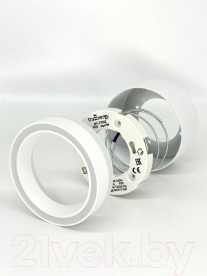 Точечный светильник Truenergy 21042