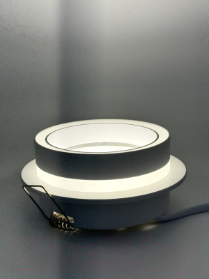 Точечный светильник Truenergy 21246