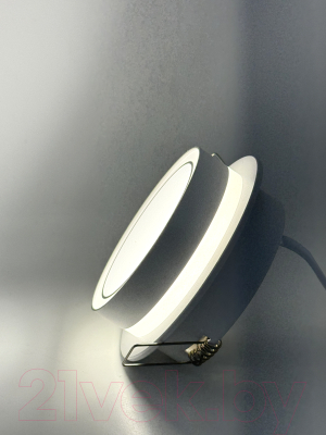 Точечный светильник Truenergy 21246