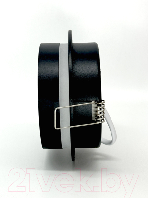 Точечный светильник Truenergy 21247