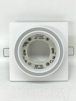 Точечный светильник Truenergy 21248