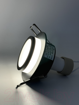 Точечный светильник Truenergy 21244