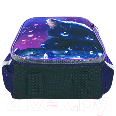 Школьный рюкзак Brauberg Premium. Anime Cat / 272017