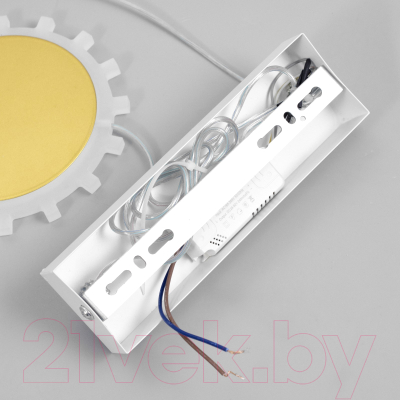 Потолочный светильник BayerLux Рассвет / 9787824