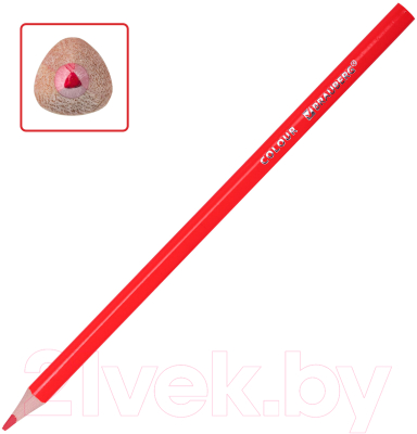 Набор цветных карандашей Brauberg Kids / 182004