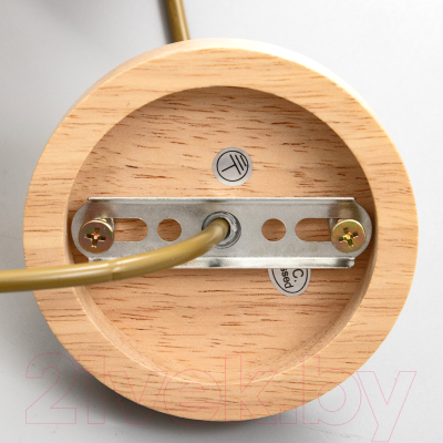 Потолочный светильник BayerLux Ваби-саби / 9879827