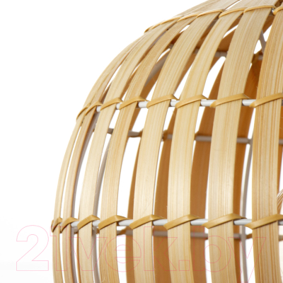 Потолочный светильник BayerLux Десни / 9753147