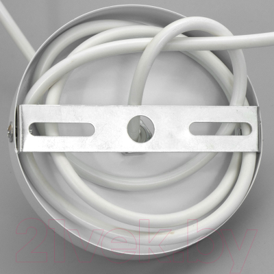 Потолочный светильник BayerLux Самони / 9753149