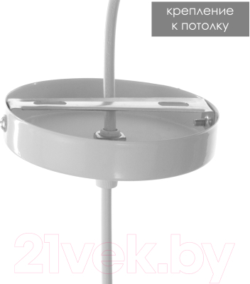 Потолочный светильник BayerLux Бирра / 4501998