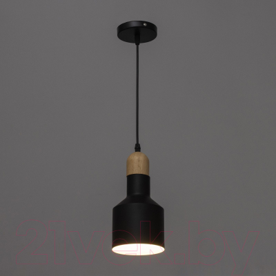 Потолочный светильник BayerLux Пума / 9951778