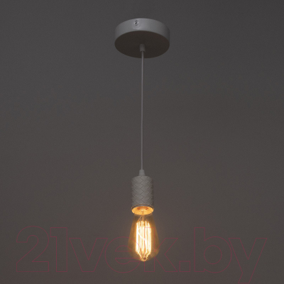 Потолочный светильник BayerLux Скин / 9919704