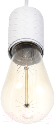 Потолочный светильник BayerLux Скин / 9919704