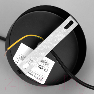 Потолочный светильник BayerLux Скин / 9919703