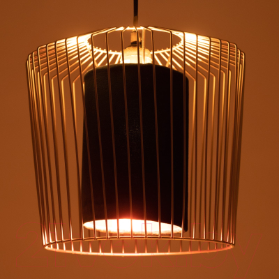 Потолочный светильник BayerLux Бархат / 9043759