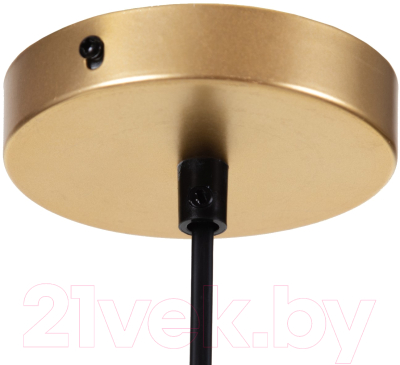 Потолочный светильник BayerLux Бархат / 9043759