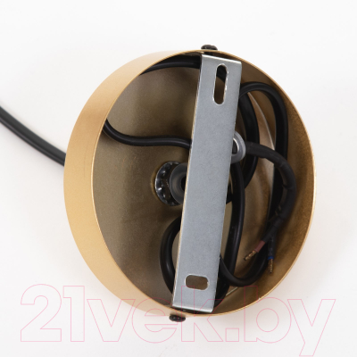 Потолочный светильник BayerLux Бархат / 9043759