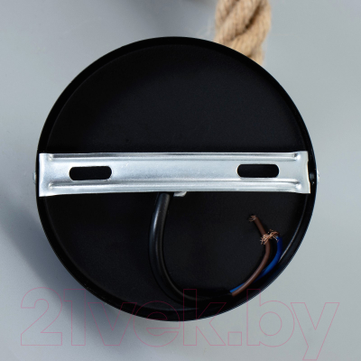 Потолочный светильник BayerLux Глоба / 9254637