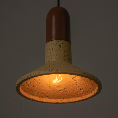 Потолочный светильник BayerLux Манси / 9215200