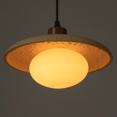 Потолочный светильник BayerLux Ориана / 9215199