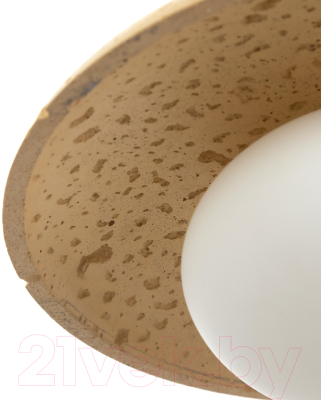 Потолочный светильник BayerLux Ориана / 9215199