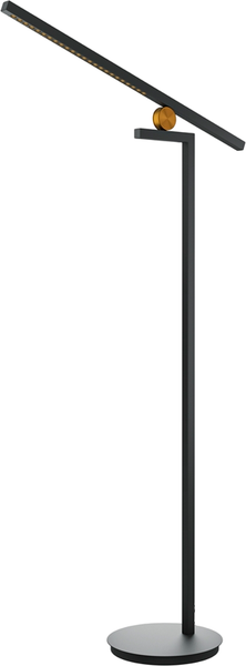 Торшер Maytoni Modern MOD363FL-L14B3K - фото