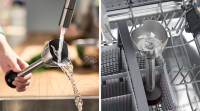 Блендер погружной Bosch MSM4B6V2