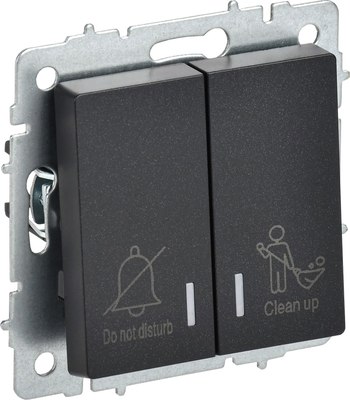 Выключатель IEK Brite BR-V20-2-10-K02 - фото