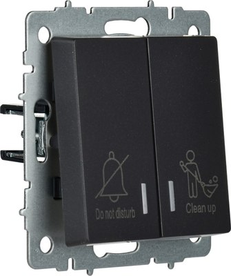 Выключатель IEK Brite BR-V20-2-10-K02