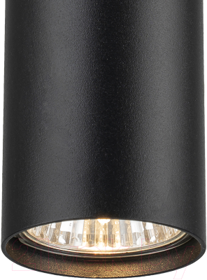 Потолочный светильник ESCADA 20001SMP/01 SBK