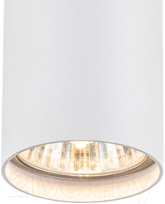Потолочный светильник ESCADA 20001SMP/01 SWH