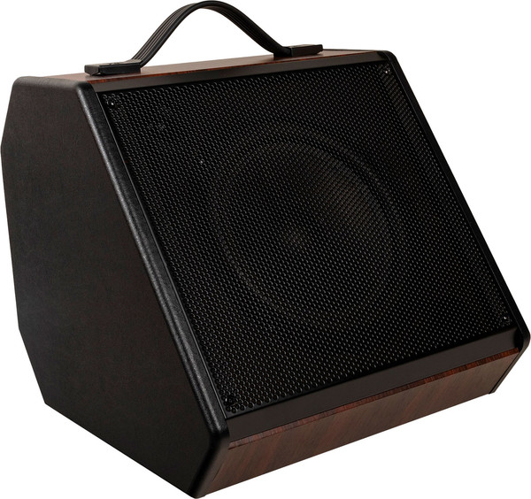 Комбоусилитель Rockdale Stone 30 - фото