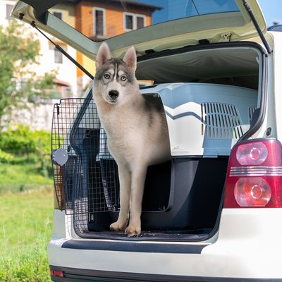 Переноска для животных Ferplast Clipper 7 Plus / 73127021