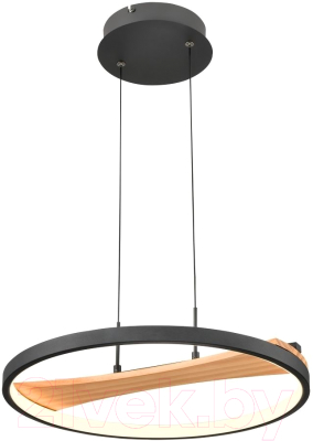 Потолочный светильник Velante 450-043-01 - фото