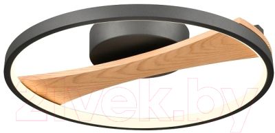 Потолочный светильник Velante 450-047-01 - фото