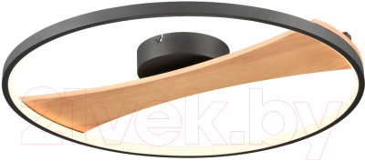 Потолочный светильник Velante 450-067-01 - фото