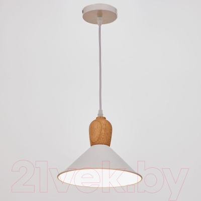 Потолочный светильник BayerLux 4642584