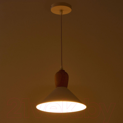 Потолочный светильник BayerLux 4642584