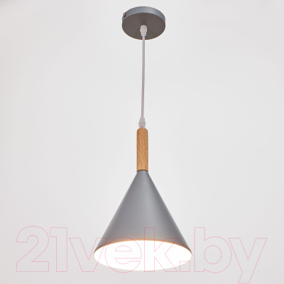 Потолочный светильник BayerLux 4642596