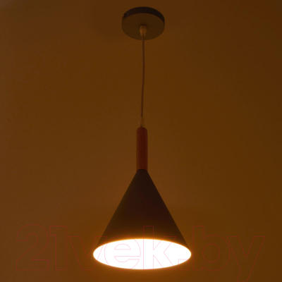 Потолочный светильник BayerLux 4642596