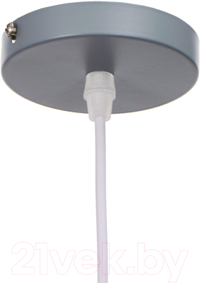 Потолочный светильник BayerLux 4642596