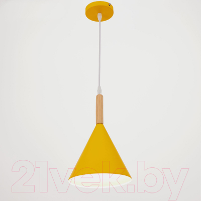 Потолочный светильник BayerLux 4642599