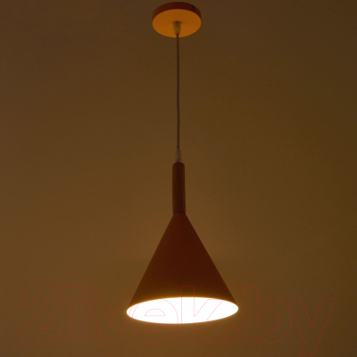 Потолочный светильник BayerLux 4642599