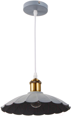 Потолочный светильник BayerLux 4642601 - фото