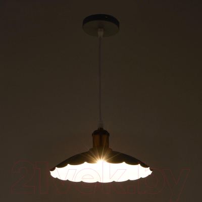 Потолочный светильник BayerLux 4642601