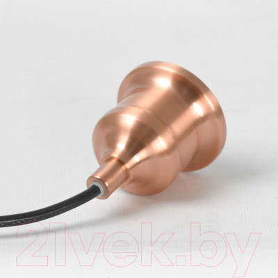 Потолочный светильник Lussole Badger LSP-8922