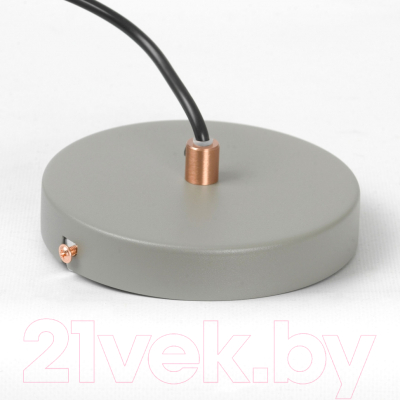 Потолочный светильник Lussole Badger LSP-8922