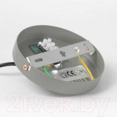 Потолочный светильник Lussole Badger LSP-8922