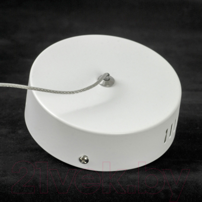 Потолочный светильник Lussole Claudia LSP-0922