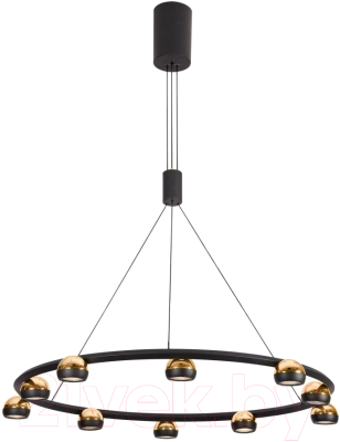 Люстра Lussole Lassen LSP-7253 - фото