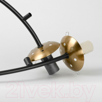 Люстра Lussole LSP-8892